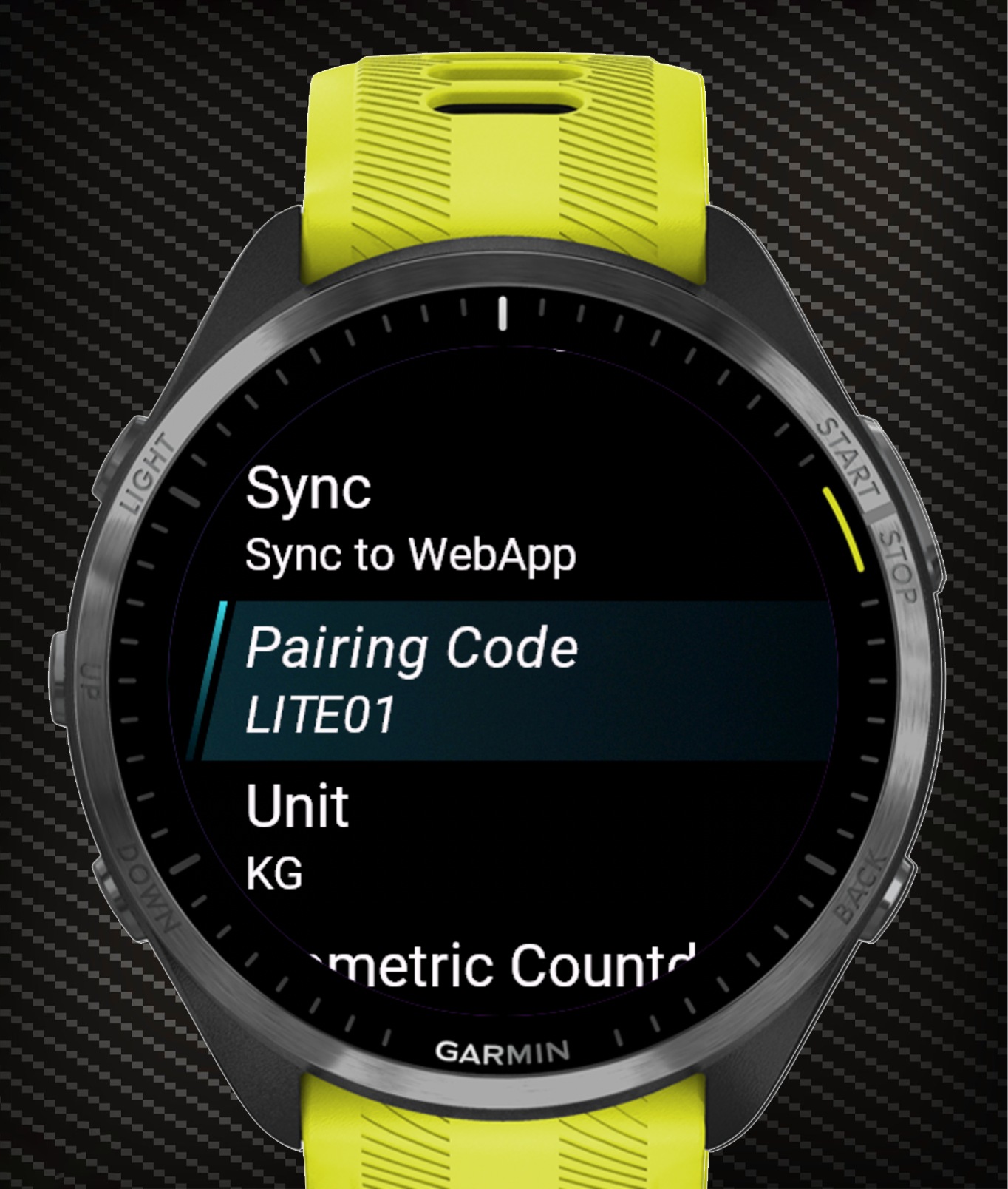 Screenshot: main menu